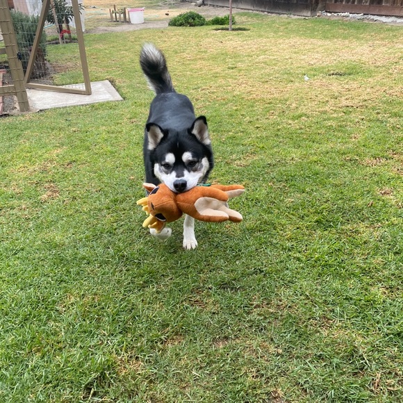 Meet your Posher, Johanna - Picture 1 of 1